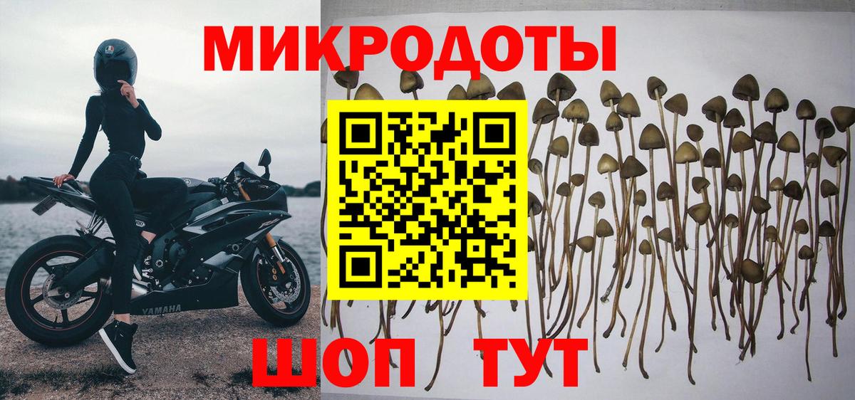 АМФЕТАМИН Арзамас