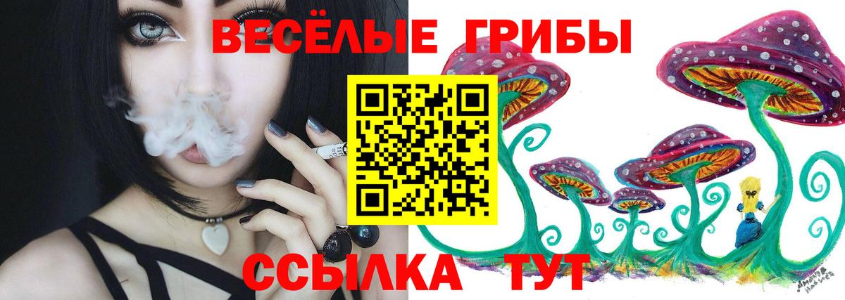 Псилоцибиновые грибы мицелий Арзамас