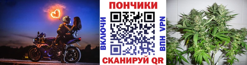 Бошки Шишки OG Kush  наркошоп  Арзамас 